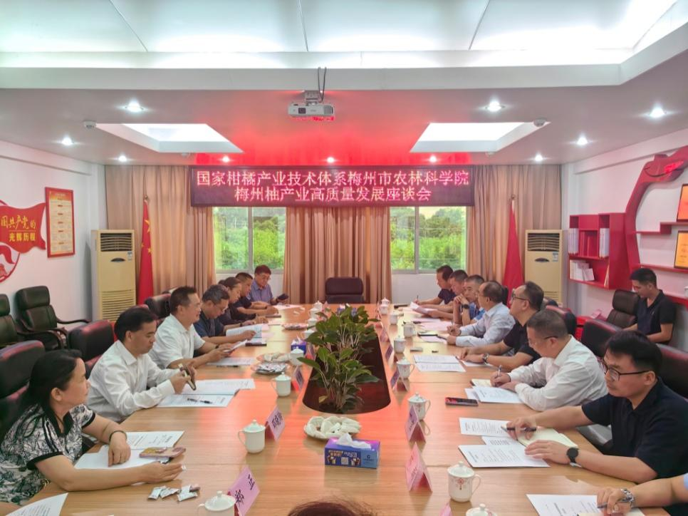 3333333.png 3333333.png